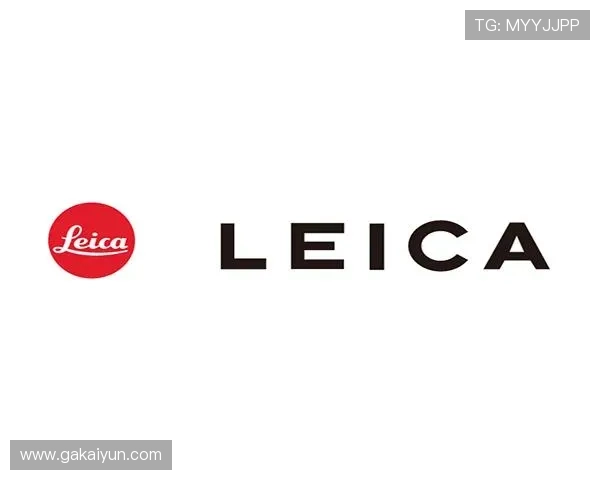 全面解析ng体育官网app下载的优势与使用指南