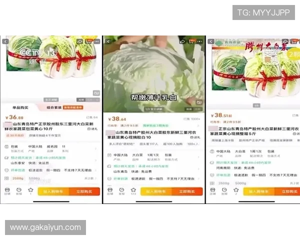 2025年最新白菜网站推荐,超值优惠不容错过! 2025年最新白菜网站推荐,超值优惠不容错过!