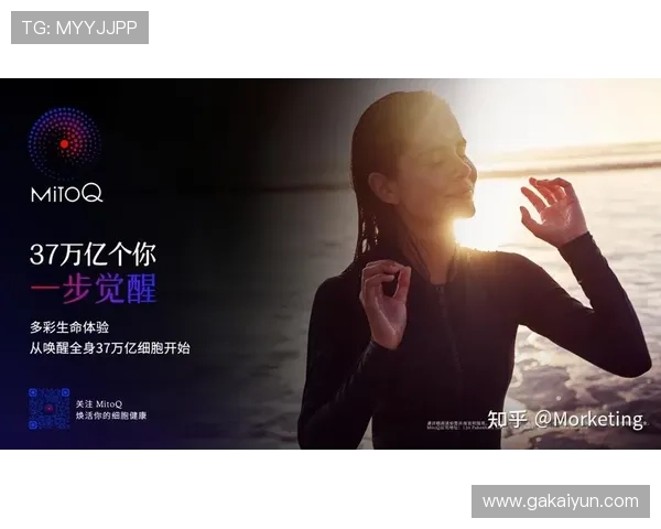 白金会登陆：探索全新社交平台的无限可能